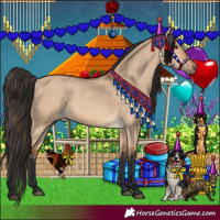 Horse Color:Bay Dun 