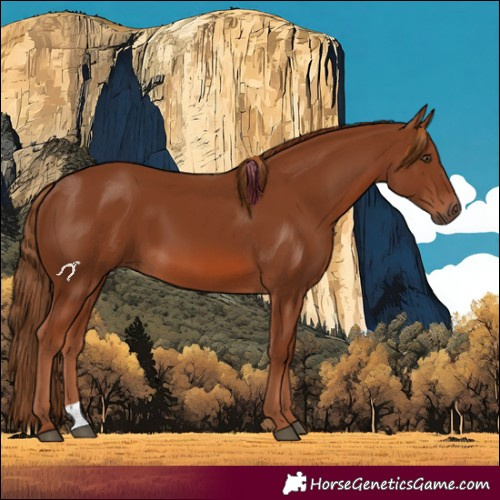 Horse Color:Chestnut 