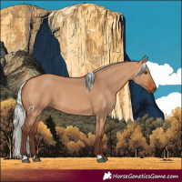 Horse Color:Silver Bay Dun 