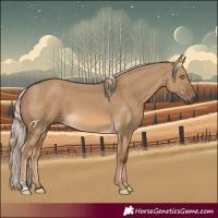 Horse Color:Chocolate Palomino Dun 