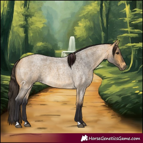Horse Color:Buckskin Roan