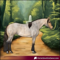 Horse Color:Buckskin Roan 