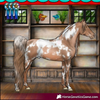 Horse Color:White Spotted Liver Chestnut Pearl