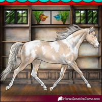 Horse Color:White Spotted Palomino Pearl 