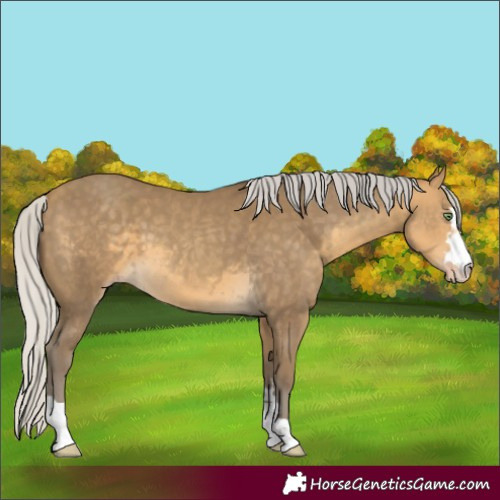 Horse Color:Silver Sable Cream Champagne 