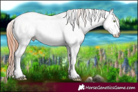 Horse Color:Sable Champagne Ice Pearl Onyx Sabino 