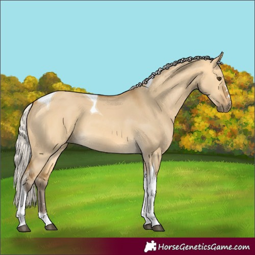Horse Color:Silver Buckskin Dun Tobiano