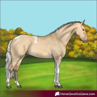 Horse Color:Silver Buckskin Dun Tobiano
