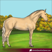 Horse Color:Palomino