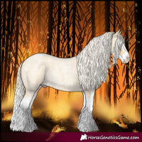 Horse Color:Palomino Roan Splash
