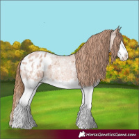 Horse Color:Red Roan Sabino Splash Blanket