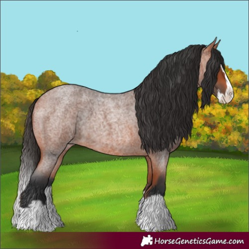 Horse Color:Bay Roan Splash 