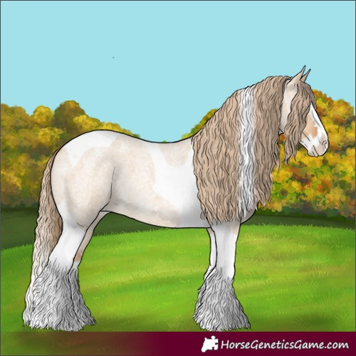 Horse Color:Red Dun Roan Splash Tobiano 