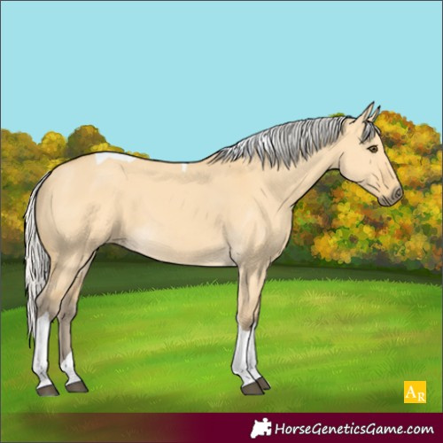 Horse Color:Silver Buckskin Dun Tobiano 