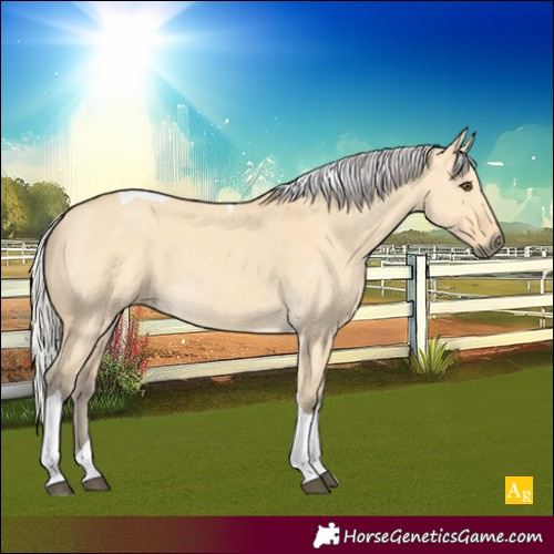 Horse Color:Silver Buckskin Dun Tobiano 