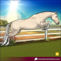 Horse Color:Silver Buckskin Dun Tobiano