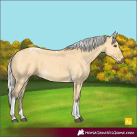 Horse Color:Silver Buckskin Dun Tobiano 