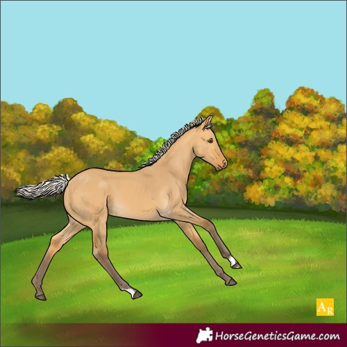 Horse Color:Silver Buckskin Dun 