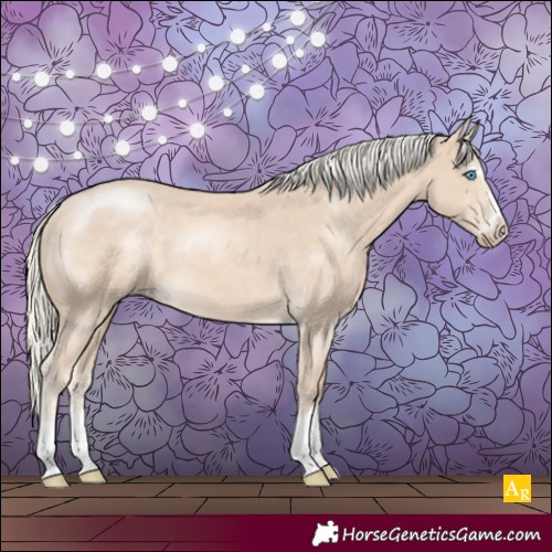 Horse Color:Cremello 