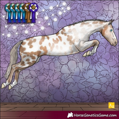 Horse Color:Gray Chocolate Palomino Pearl Appaloosa 