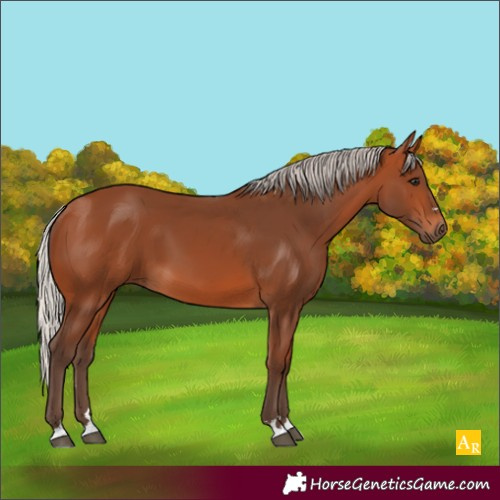 Horse Color:Unknown 