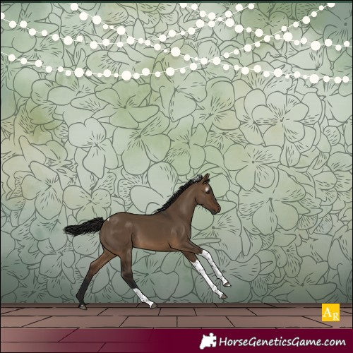 Horse Color:Gray Bay Dun Tobiano 