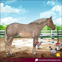Horse Color:Chocolate Palomino Roan 