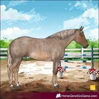 Horse Color:Chocolate Palomino Roan