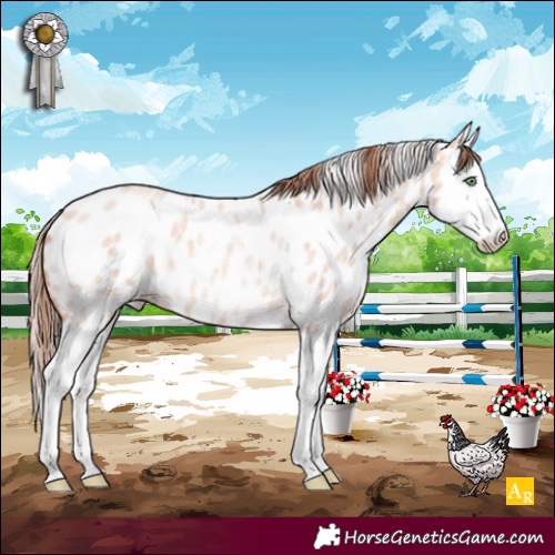 Horse Color:Gold Champagne Roan Dun Splash Appaloosa Rabicano 