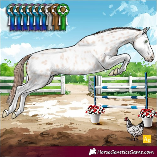 Horse Color:Gold Champagne Roan Dun Splash Near Leopard Rabicano 