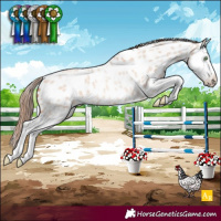 Horse Color:Gold Champagne Roan Dun Splash Appaloosa Rabicano 