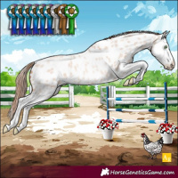 Horse Color:Gold Champagne Roan Dun Splash Near Leopard Rabicano 