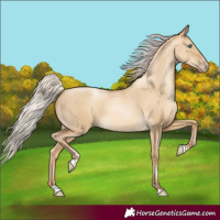 Horse Color:Gray Silver Classic Cream Champagne Pearl Dun
