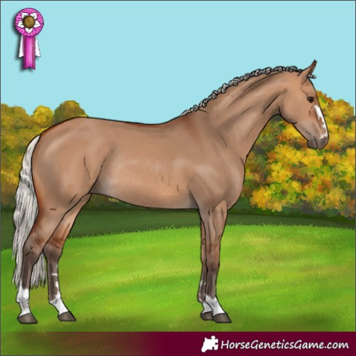 Horse Color:Silver Bay Dun Rabicano 