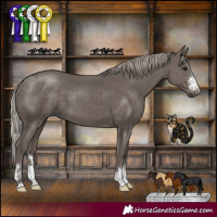 Horse Color:Silver Black
