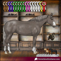 Horse Color:Silver Black 