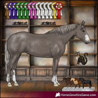 Horse Color:Silver Black