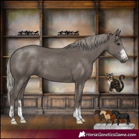 Horse Color:Silver Black 