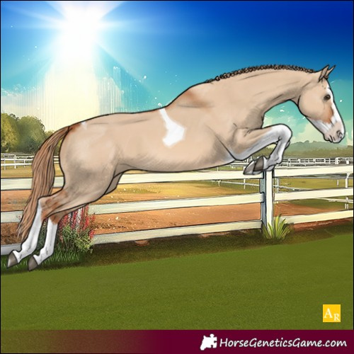 Horse Color:Red Dun Splash Tobiano 