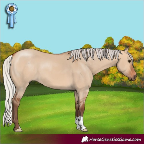 Horse Color:Silver Bay Dun