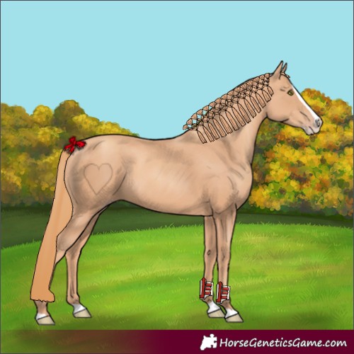 Horse Color:Gold Champagne Splash