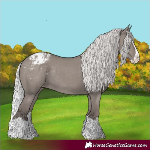 Horse Color:Platinum Silver Grullo Splash Appaloosa Rabicano 