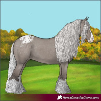 Horse Color:Platinum Silver Grullo Splash Varnish Rabicano 