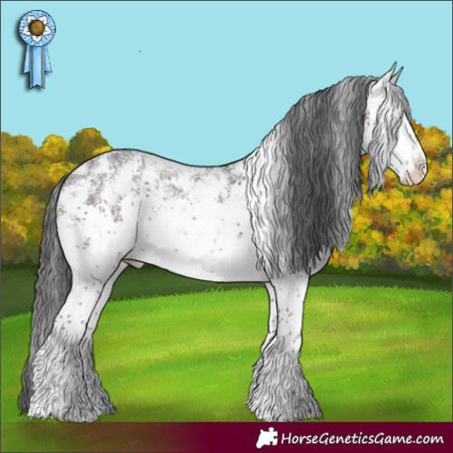 Horse Color:White Spotted Brown Sabino Rabicano