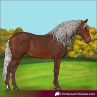 Horse Color:Silver Brown 