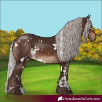 Horse Color:White Spotted Silver Brown 