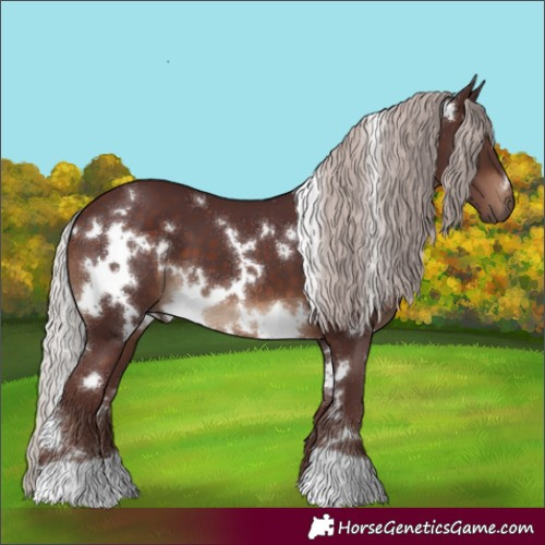 Horse Color:White Spotted Chocolate Silver Brown 