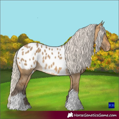 Horse Color:Silver Buckskin Dun Tobiano Blanket Rabicano