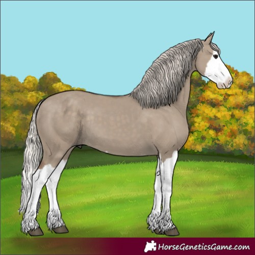 Horse Color:Silver Grullo Splash 