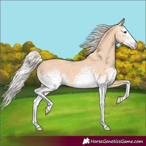 Horse Color:White Spotted Silver Brown Dun 